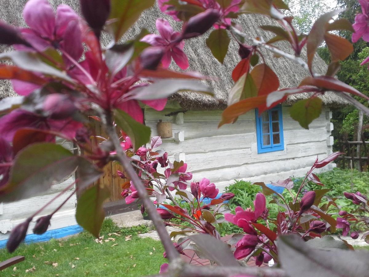 Dzikie Roztocze - Stara Chata Krasnobród Exteriér fotografie